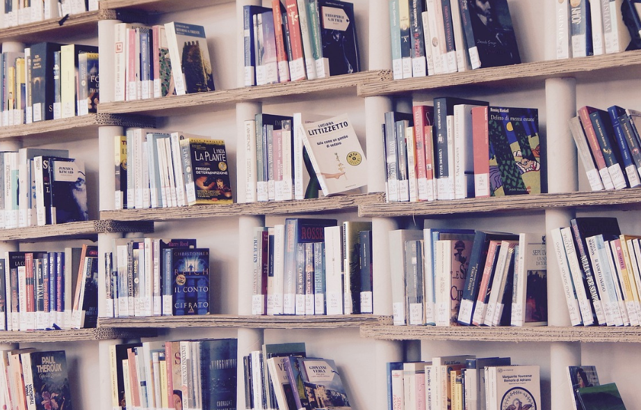 Event - Braidwood Library Book Club